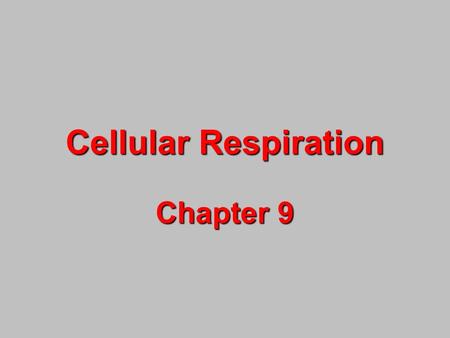 Cellular Respiration Chapter 9.