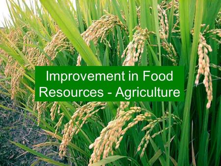 Improvement in Food Resources - Agriculture. Crop Seasons Kharif Season Rabi Season Rainy season crops Winter season crops.