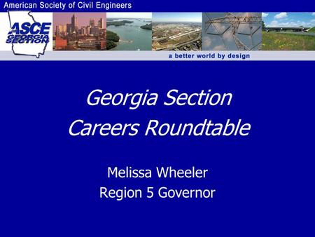 Georgia Section Careers Roundtable Melissa Wheeler Region 5 Governor.
