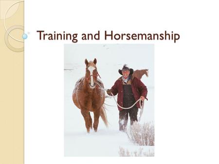 Training and Horsemanship. Objectives Explain the basic principles of training a horse Describe basic horsemanship procedures.