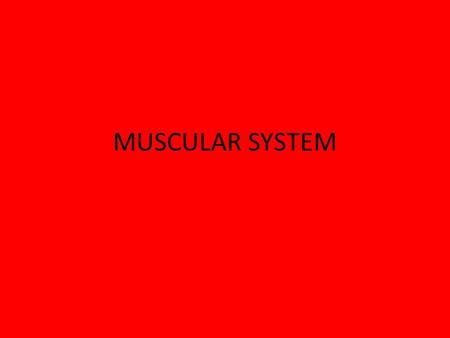 MUSCULAR SYSTEM. Functions of the Muscular System Without muscles, nothing in your body would work All body movements depend on muscles Pump blood throughout.