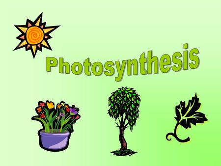 Aim: What is photosynthesis? I. Photosynthesis – the process in which green plants take in CO 2 and H 2 O in the presence of sunlight and create glucose.