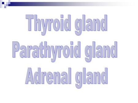 Thyroid gland Parathyroid gland Adrenal gland.