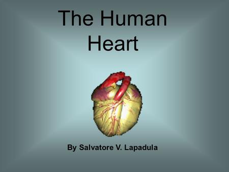 The Human Heart By Salvatore V. Lapadula Facts about the Human Heart Is a muscle Moves 2,000 gallons of blood each day Beats between 60 to 100 times.