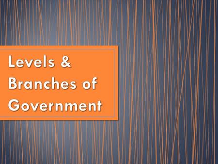 You just read about the 3 different levels of government in the U.S. – National (also called federal) State Local (county/city) But within each of those.