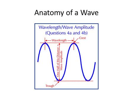 Anatomy of a Wave. Waves- Main Causes Waves do not move across the water, they rise and fall in one place (a circular motion) Wind blows across surface.