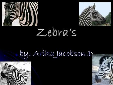 Zebra’s by: Arika Jacobson:D. Species of Zebra Mountain Zebra: endangered found in South Africa and Angolia. Mountain Zebra: endangered found in South.