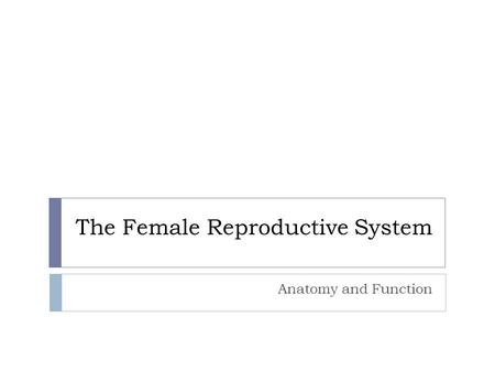 The Female Reproductive System Anatomy and Function.