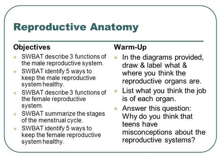 Reproductive Anatomy Objectives Warm-Up