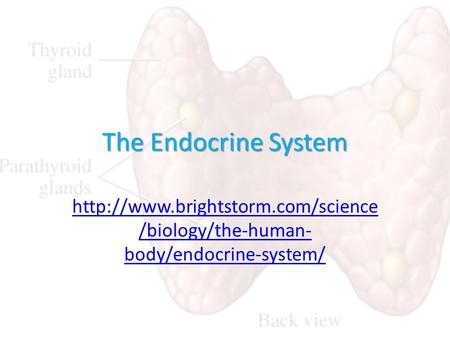 The Endocrine System  /biology/the-human- body/endocrine-system/