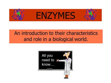 An introduction to their characteristics and role in a biological world. ENZYMES All you need to know…