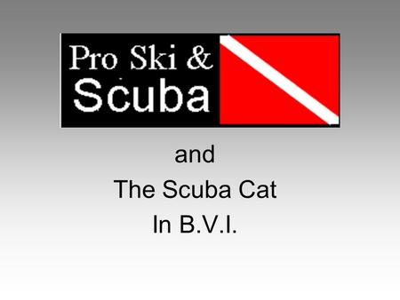 And The Scuba Cat In B.V.I.. The Boat 4 Cabins Galley 2 Heads w/ Showers Covered Deck Large Dining area Smooth Sailing Vessel.