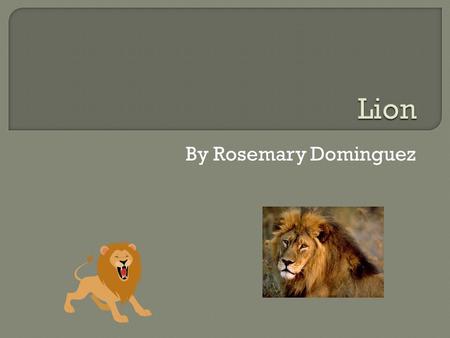 By Rosemary Dominguez.  Lions live in plains or savanna habitat of Africa.