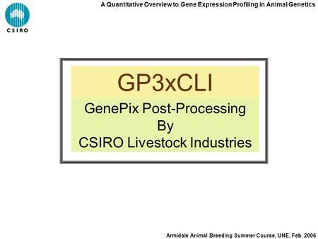 A Quantitative Overview to Gene Expression Profiling in Animal Genetics Armidale Animal Breeding Summer Course, UNE, Feb. 2006 GP3xCLI GenePix Post-Processing.