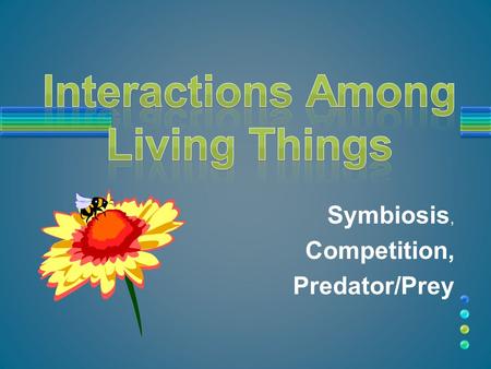 Symbiosis, Competition, Predator/Prey. Because, in order to survive, a living organism depends on other living things. Why Do Living Things Interact With.