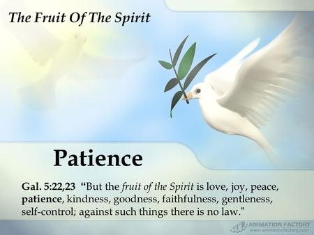 Patience Gal. 5:22,23 “ But the fruit of the Spirit is love, joy, peace, patience, kindness, goodness, faithfulness, gentleness, self-control; against.