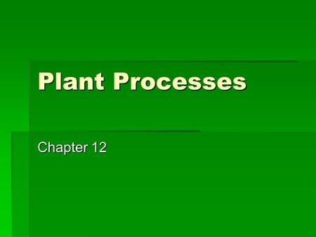 Plant Processes Chapter 12.