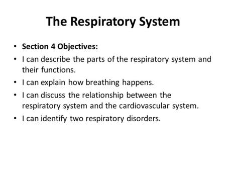 The Respiratory System Section 4 Objectives: I can describe the parts of the respiratory system and their functions. I can explain how breathing happens.