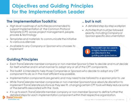 Objectives and Guiding Principles for the Implementation Leader