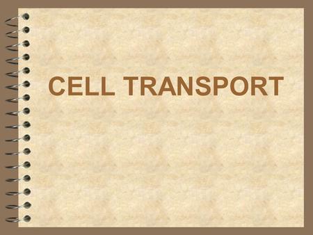 CELL TRANSPORT. WHAT IS THE FUNCTION OF THE CELL MEMBRANE? Regulates what enters and leaves the cell Provides protection Provides support.