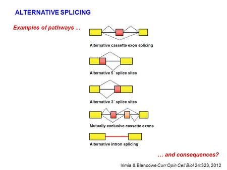 ALTERNATIVE SPLICING Examples of pathways ...