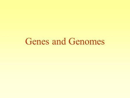 Genes and Genomes. Genome On Line Database (GOLD) 243 Published complete genomes 536 Prokaryotic ongoing genomes 434 Eukaryotic ongoing genomes December.