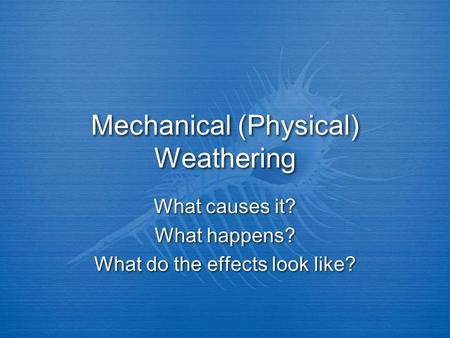 Mechanical (Physical) Weathering What causes it? What happens? What do the effects look like? What causes it? What happens? What do the effects look like?