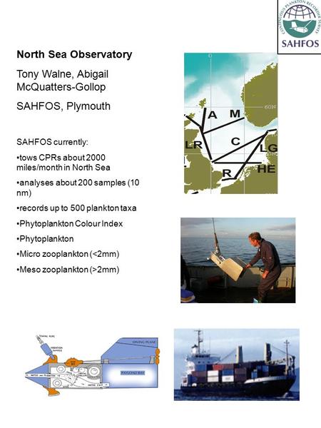 North Sea Observatory Tony Walne, Abigail McQuatters-Gollop SAHFOS, Plymouth SAHFOS currently: tows CPRs about 2000 miles/month in North Sea analyses about.