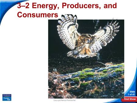 End Show Slide 1 of 41 Copyright Pearson Prentice Hall 3–2 Energy, Producers, and Consumers.