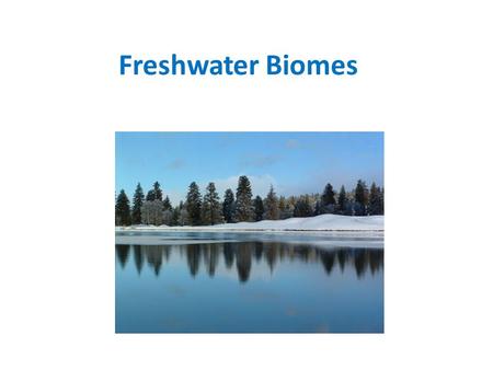 Freshwater Biomes. A biome that includes wetlands, streams, rivers, ponds and lakes Water has a low salt concentration.