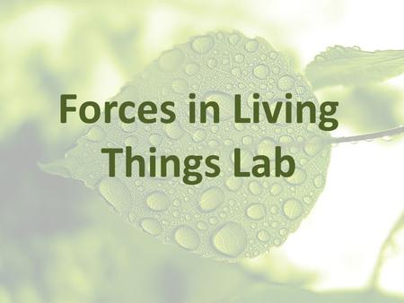 Forces in Living Things Lab. In science, there is a very specific definition for the word “work” Work only takes place if there is a force and a motion.