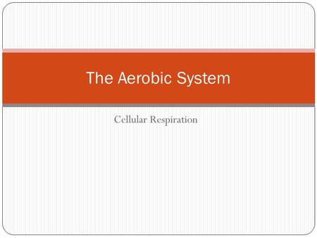 Cellular Respiration The Aerobic System. Goal: I will be able to explain how my body converts food into a usable form of energy for my cells.