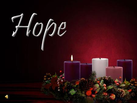 Our Solid Hope “Now faith is being sure of what we hope for and certain of what we do not see…” (Heb. 11:1)