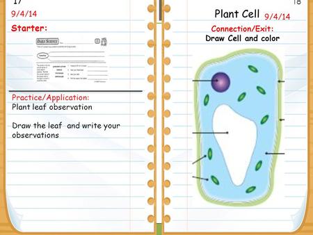 Plant Cell 17 Starter: 18 9/4/14 9/4/14 Connection/Exit: