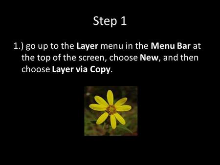 Step 1 1.) go up to the Layer menu in the Menu Bar at the top of the screen, choose New, and then choose Layer via Copy.