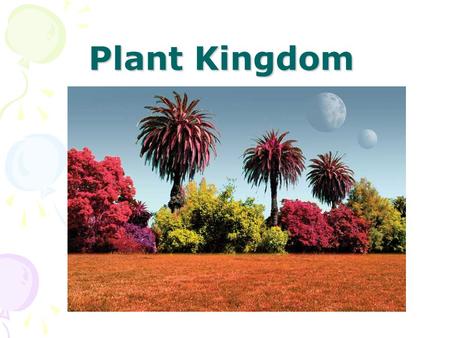 Plant Kingdom. Plants Multicellular Autotrophs Eukaryotic Have chloroplasts and cell walls Sexual Reproduction.