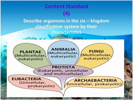 Content Standard (4) Describe organisms in the six – kingdom classification system by their characteristics.