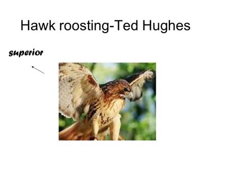 Hawk roosting-Ted Hughes