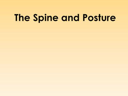 The Spine and Posture.