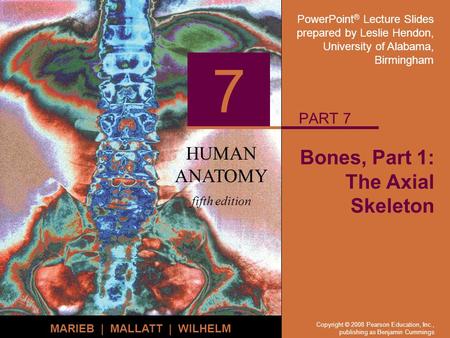 PowerPoint ® Lecture Slides prepared by Leslie Hendon, University of Alabama, Birmingham HUMAN ANATOMY fifth edition MARIEB | MALLATT | WILHELM 7 Copyright.