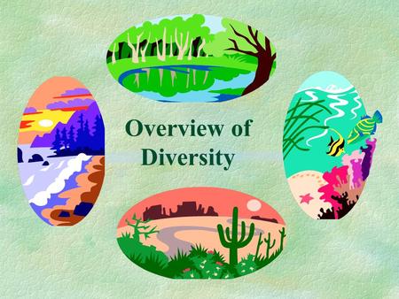 Overview of Diversity.