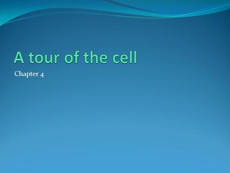 Chapter 4. Most Cells Are Microscopic Effect of Cell Size on Surface Area.
