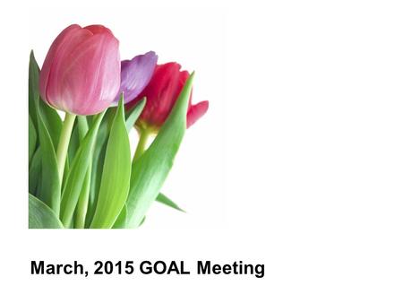 March, 2015 GOAL Meeting. GIEP Spring Season will begin in April. Students having a GIEP this spring will be notified of the time and date by their GOAL.