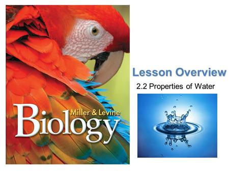 Lesson Overview Lesson Overview Properties of Water Lesson Overview 2.2 Properties of Water.