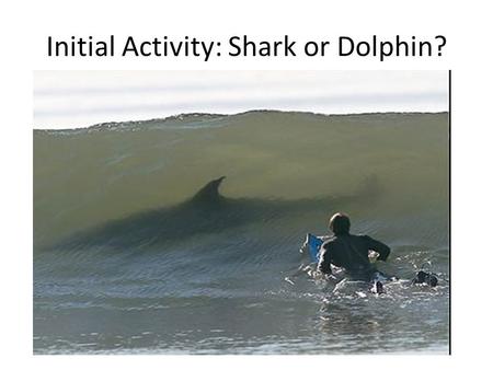 Initial Activity: Shark or Dolphin?. Types of Attacks Scientists have defined two types of shark attacks, one of which has three subcategories: Provoked.