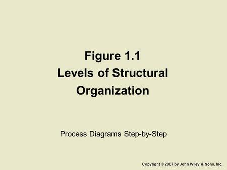 Figure 1.1 Levels of Structural Organization Process Diagrams Step-by-Step Copyright © 2007 by John Wiley & Sons, Inc.