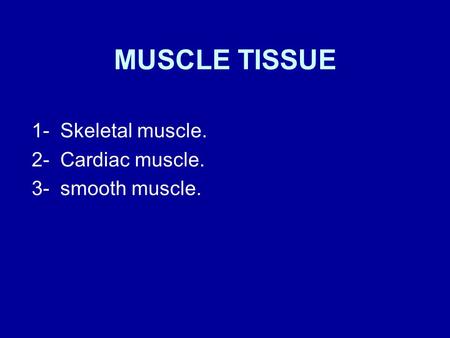 1- Skeletal muscle. 2- Cardiac muscle. 3- smooth muscle.