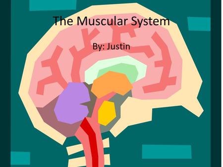 The Muscular System By: Justin. Organs  Skeletal muscles they help the body move.  Smooth muscles which are located inside organs such as the stomach.