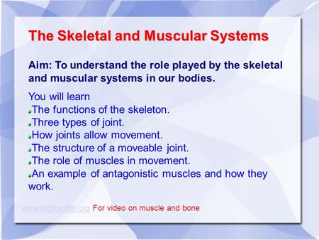 The Skeletal and Muscular Systems Aim: To understand the role played by the skeletal and muscular systems in our bodies. You will learn The functions of.