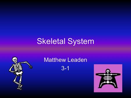 Skeletal System Matthew Leaden 3-1 Overview The Skeletal system keeps your body in shape, protects your vital organs, such as the Heart, Brain, and Lungs,